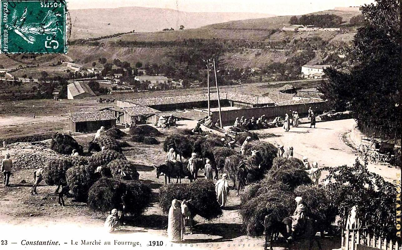 Constantine - Marche au Fourrage - 1910.jpg